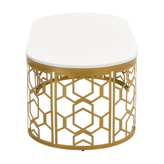 Luxe Oval Gold Coffee Table – A Statement of Elegance and Functionality