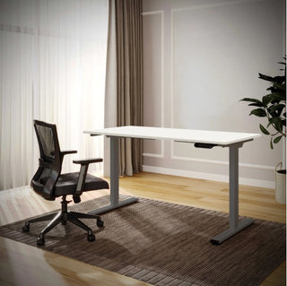 Electric Standing Desk Dual Motor