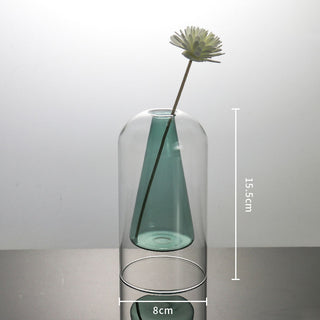 Modern Glass Vase for Decor