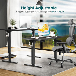 Electric Adjustable Height Standing Desk