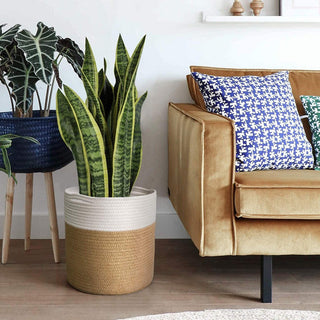 Modern Woven Indoor Storage Basket