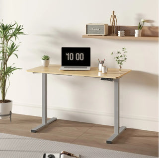 Electric Standing Desk