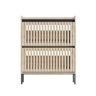 Modern 2-Flip Shoe Cabinet Rack
