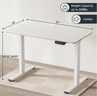 Electric Standing Desk Dual Motor