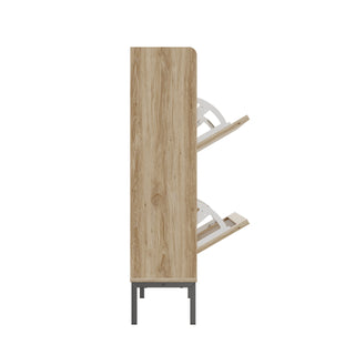 Modern 2-Flip Shoe Cabinet Rack