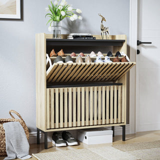 Modern 2-Flip Shoe Cabinet Rack