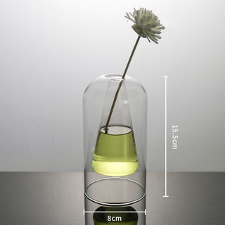 Modern Glass Vase for Decor