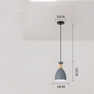Modern Pendant Ceiling Lamp