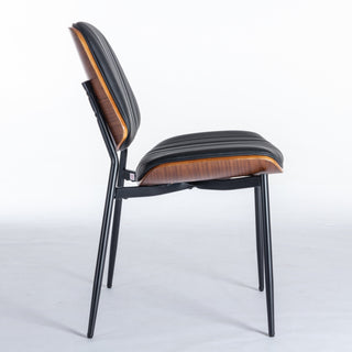 Dining Chairs Set Of 2 Mid Century