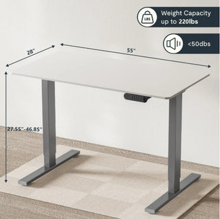 Electric Standing Desk Dual Motor