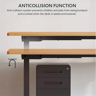 Electric Standing Desk Dual Motor