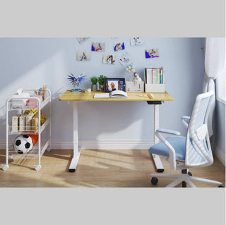 Electric Standing Desk Dual Motor