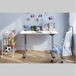 Electric Standing Desk Dual Motor