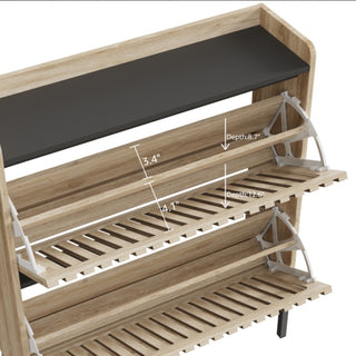 Modern 2-Flip Shoe Cabinet Rack