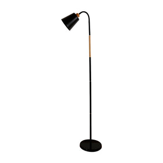 Remote Control Reading Floor Table Lamp
