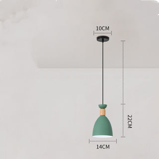 Modern Pendant Ceiling Lamp