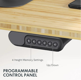 Electric Standing Desk Dual Motor