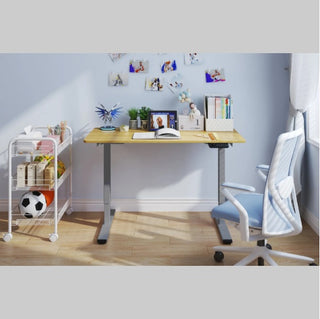 Electric Standing Desk Dual Motor