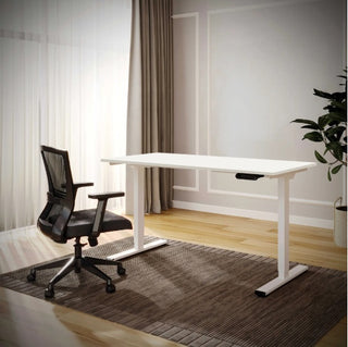 Electric Standing Desk Dual Motor