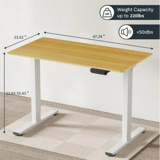 Electric Standing Desk Dual Motor