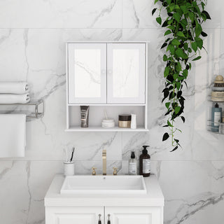 Double Mirror Bathroom Wall Cabinet