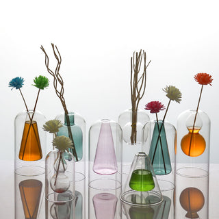 Modern Glass Vase for Decor