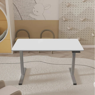 Electric Standing Desk