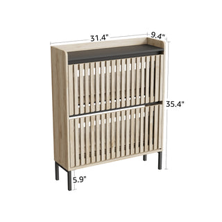 Modern 2-Flip Shoe Cabinet Rack