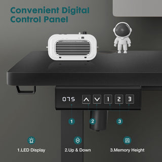 Electric Adjustable Height Standing Desk