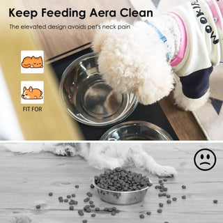 Elevated Pet Feeding Station with Storage