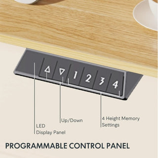 Electric Standing Height Desk