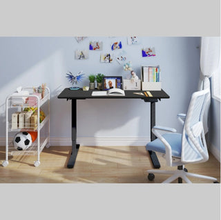 Electric Standing Desk Dual Motor
