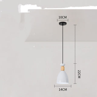 Modern Pendant Ceiling Lamp