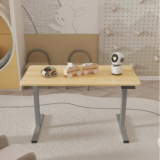 Electric Standing Desk