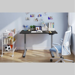 Electric Standing Desk Dual Motor