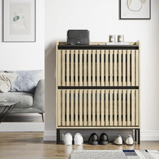 Modern 2-Flip Shoe Cabinet Rack