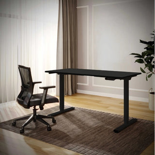Electric Standing Desk Dual Motor