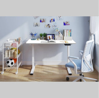 Electric Standing Desk Dual Motor