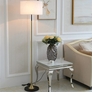 Modern Simple Led Floor Lamp