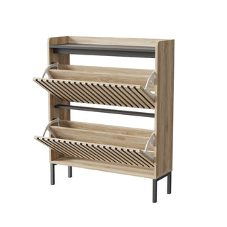 Modern 2-Flip Shoe Cabinet Rack