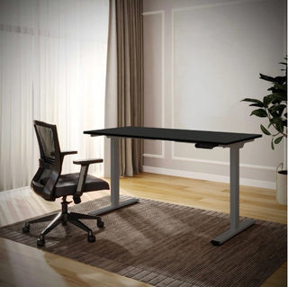 Electric Standing Desk Dual Motor